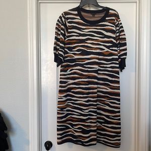 Ann Taylor Dress